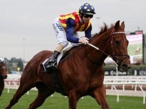 Nature Strip dominant in Flemington win