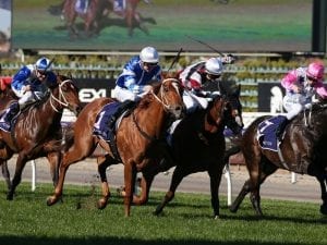 Gytrash after back-to-back Flemington wins