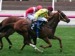 Parnhams combine for Flemington success