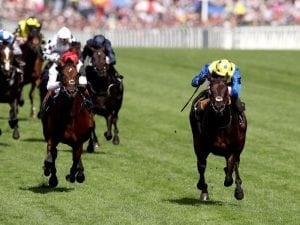 Poet's Word gives Stoute Ascot record