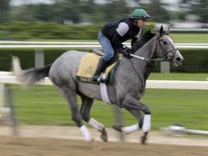 Tacitus favourite for Belmont Stakes