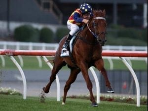 Gallop to decide Flemington run for Nature