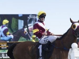 Randwick option looms for Faraway Town