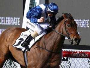 Dual Group One winner Viddora retired