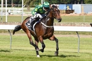 Ruakaka tune-up for Australia-bound Hiflyer