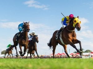 Ipswich betting preview, top tips & quaddie picks | Sunday, 6/6