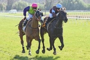 Longchamp out to redeem himself at Hawera