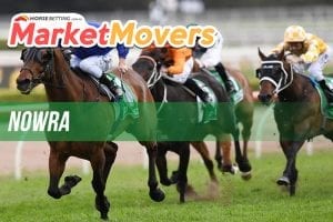 Nowra market movers for Tuesday, June 19