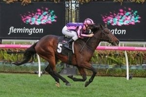 Gelagotis confident with stable favourite