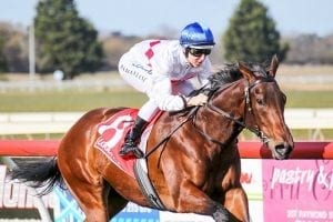 Propelle out to boost rating at Flemington