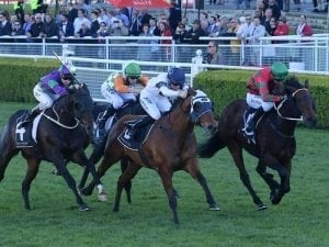 Karavali a photo-finish winner at Randwick