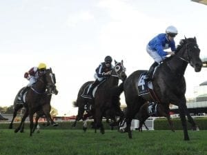 I Thought So ends run of outs at Randwick