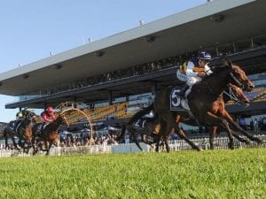 Azuro claims tough staying win at Rosehill