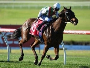 Control freak gets the job done at Sandown