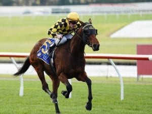 Well-bred Tides dominant in Sandown win