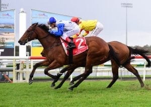 Doomben targets for Pike duo