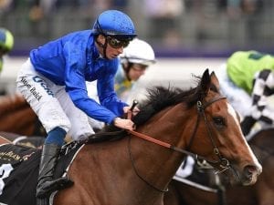 Godolphin dominates Tiara markets