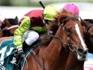 Bon Aurum to make return at Moonee Valley