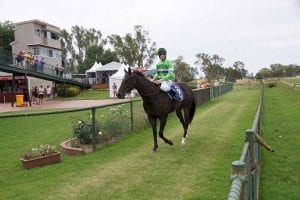 Foreign Affair at Benalla