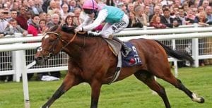 Frankel's son New Horizons