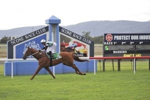 Mister Marmalade wins at Scone