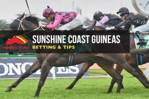 Sunshine Coast Guineas