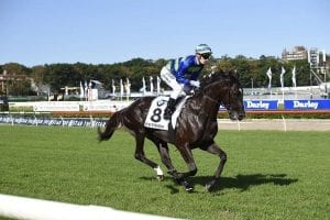 Queensland Derby winner Ruthven