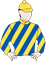 Southern Star silks