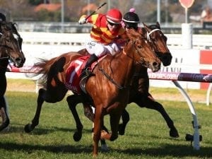 Magnesium Rose gets second Caulfield win