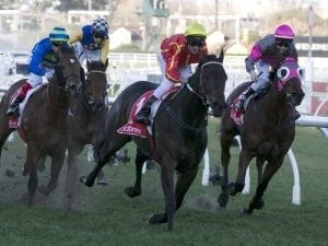 Voodoo Lad wins G3 Monash Stakes in style