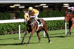 Purton prevails in HK premiership battle