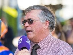 Steve Tregea to monitor Tatt's Mile pair