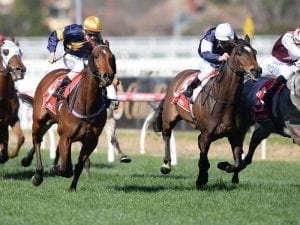 Rhythm To Spare runs in third Winter Cship