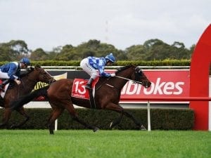 El Questro still on the way up: Sheehan