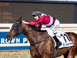 Breeding barn beckons for Galaxy Star