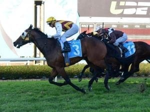 Tony Gollan breaks his Brisbane metropolitan record at Gold Coast