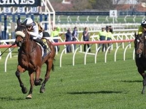 Plymouth Road to return to Randwick