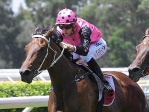 Costello to begin campaign at Randwick