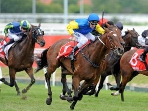 Trainer Lindsey Smith gets Ballarat double