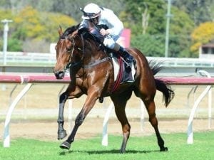 Gary Doughty gets first city winner