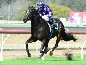 Tony Gollan passes milestone with treble