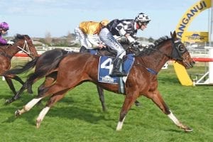 Triple threat for Sharrock in 3YO feature