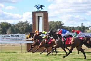 Narrandera betting tips, quaddie picks & value bets | 18/7/2021