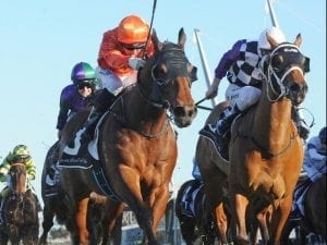 Dreamforce claims Listed Winter Stakes win