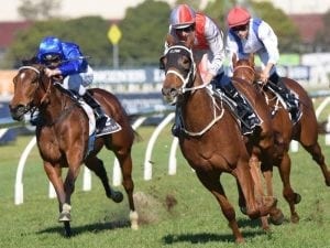 Hugh Bowman returns with Rosehill double