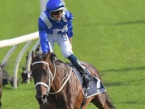 Bowman returns for post-Winx era