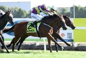 Home track hit-out for star performer