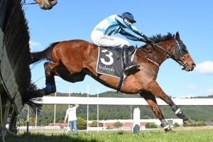 Steeplechasing plans may be put on hold