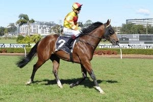 Ryan stable lands early Rosehill double