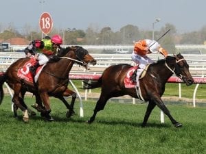 Bendigo called off following heavy rain